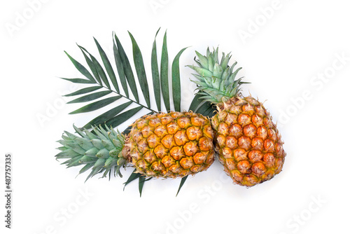 Fresh tropic fruit pineapples and leaf palm tree on white background. Top view  flat lay