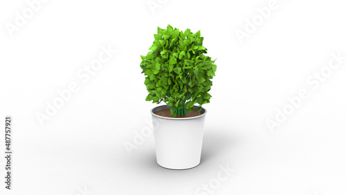 devils ivy plant with pot with shadow 3d render