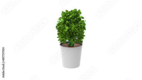 devils ivy plant with pot without shadow 3d render