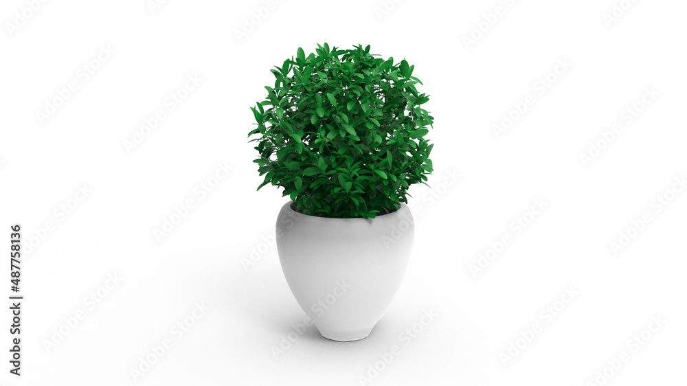plant with pot with shadow 3d render