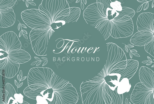 Vintage card with orchid flowers. Flower frame for flowershop with label designs. Flowers background for cosmetics packaging