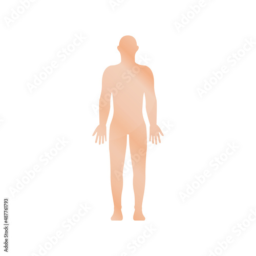 human icon on a white background, vector illustration