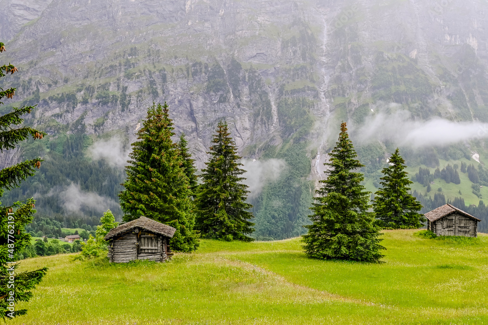 Grindelwald, First, Bort, Wanderweg, Alm, Holzhäuser, Alpen, Bergwiesen, Bergbauer, Berner Oberland, Schreckhorn, Sommer, Morgennebel, Unwetter, Schweiz
