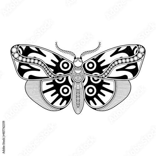 vector butterfly black and white element line art print design © visnezh