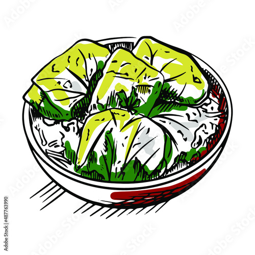 Vector sketch of Ukrainian national dish stuffed cabbage, known as golubtsy or cabbage rolls photo