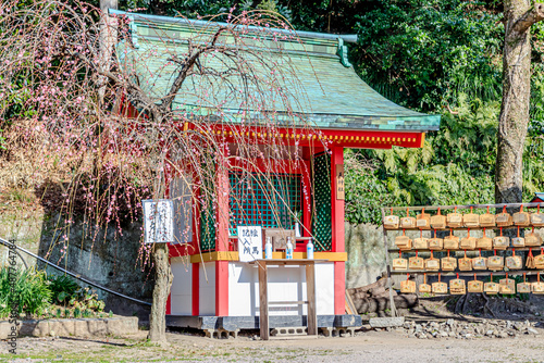 冬の赤間神宮　山口県下関市　Akama Shrine in winter. Yamaguchi-ken shimonoseki city photo