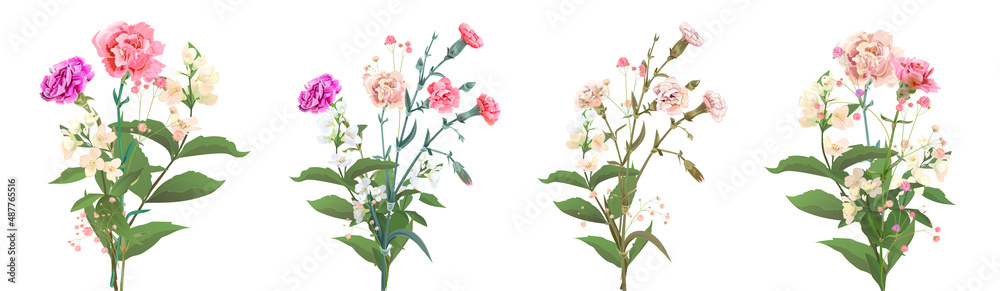 Set tender bouquet with carnation, jasmine. White, pink flowers on white background. Collection for Mother's Day, Victory Day. Digital realistic illustration in watercolor style. Panoramic view vector