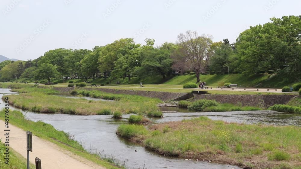 日本の新緑の季節の京都賀茂川の風景・人々・水鳥
日本の新緑の季節の京都賀茂川の風景・人々・水鳥