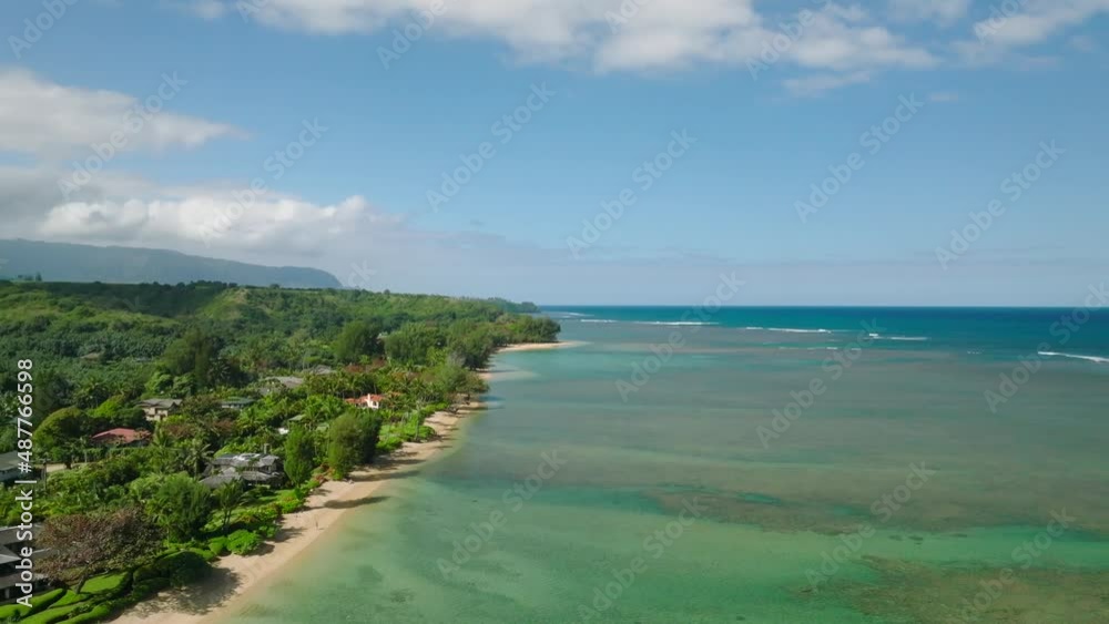 Wide Aerial Dolly moving forward alongside Anini Beach, Kauai, Hawaii. Trees and coastline, island life on screen left. Horizon on the right. Wide Aerial Dolly moving forward alongside Anini Beach, Kauai, Hawaii. Trees and coastline, island life on screen left. Horizon on the right.