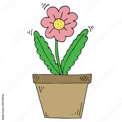 Pink flower in a pot. Vector doodle spring illustration.