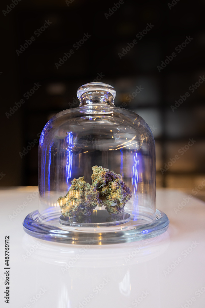 cannabis medical flower cannabis medical flower