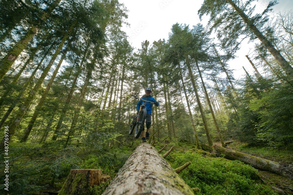 VTT vélo de montagne sports extrêmes équilibre sur un tronc dans la forêt dans les Vosges