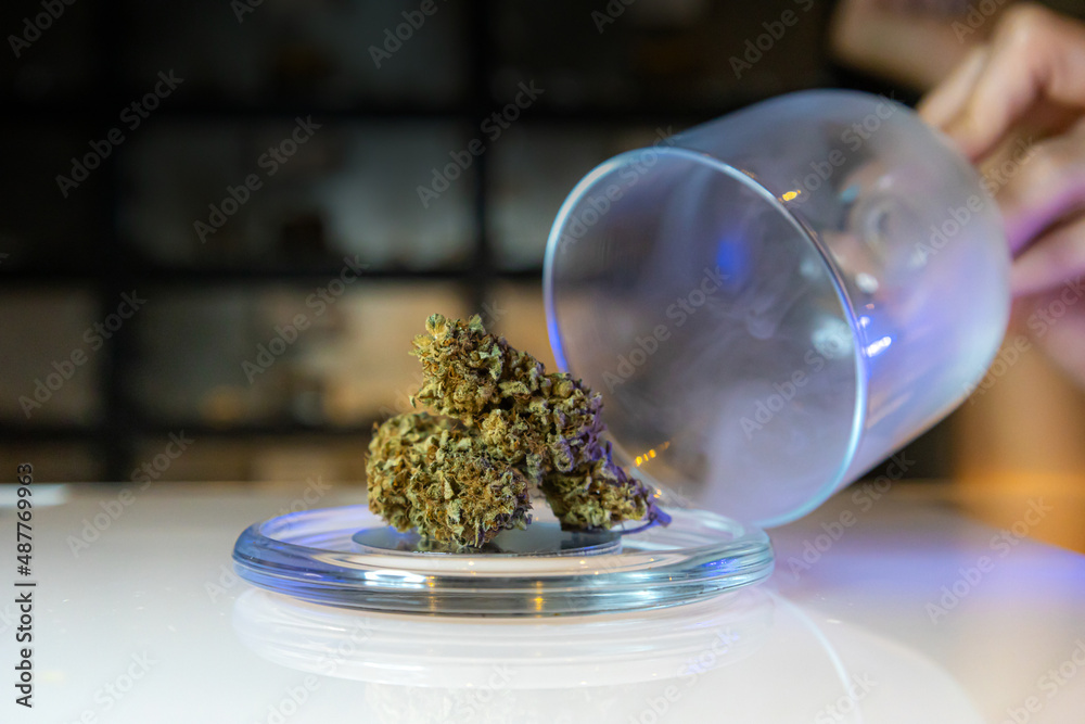 cannabis medical flower