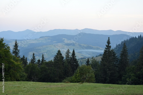 landscape with trees