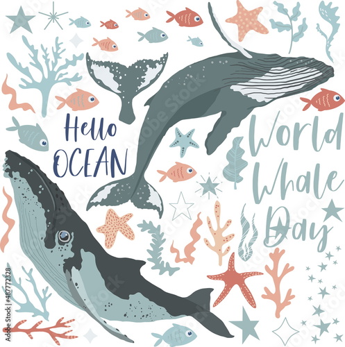 Vector illustration set with cartoon style whales, seaweeds and little fish. Marine animal collection. Underwater set. Perfect for scrapbooking, cards, poster, stickers