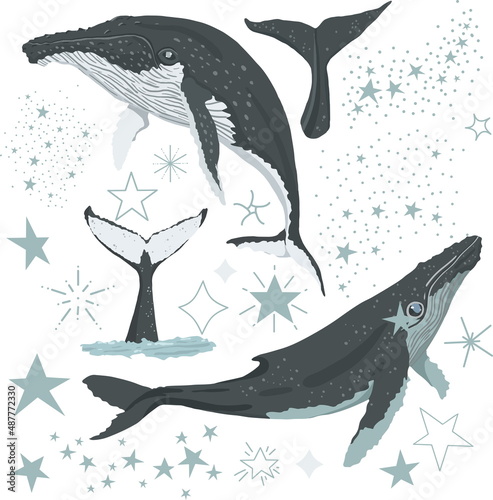 Vector illustration set with cartoon style whales and mystical magical stars. Marine animal collection. Underwater or cosmic set. Perfect for scrapbooking, cards, poster, stickers
