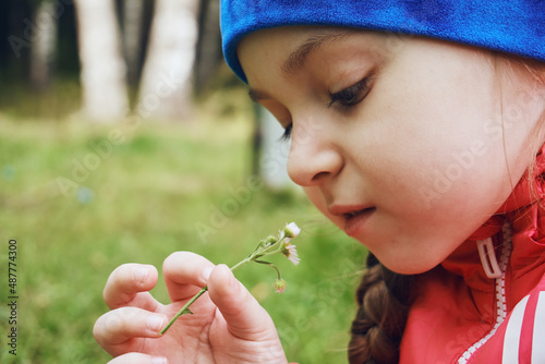 A girl child in a pink jacket and a blue hat sniffs a torn daisy scraper. Curiosity and study of the environment, walk in the park