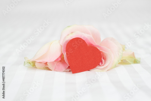 Rose on a white background with a heart. A gift for Valentine's days.