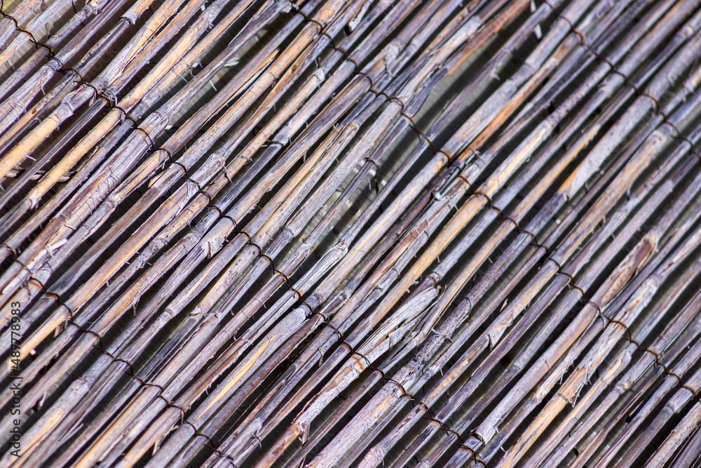 closeup of a bamboo panel closeup of a bamboo panel