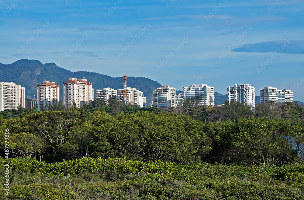 Buildings and native vegetation in Barra da Tijuca, Rio de Janeiro
