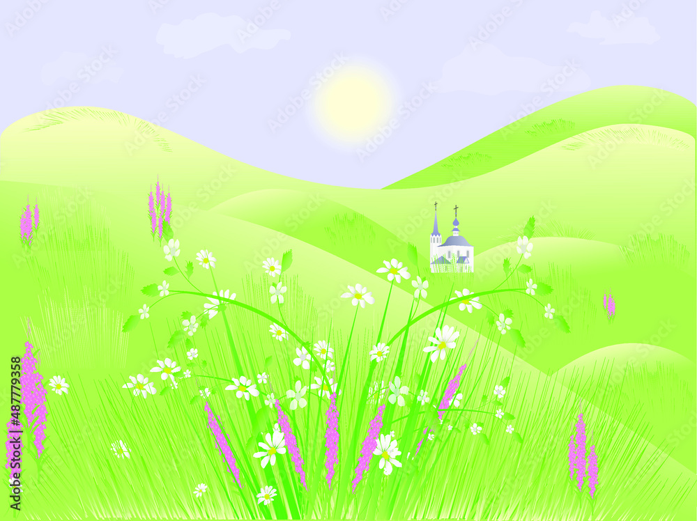 Fototapeta premium spring landscape with grass and flowers