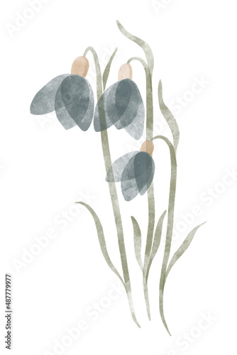 Watercolor trendy flower. Vector illustration for web, app and print. Elegant feminine shape floristic isolated snowdrop flower. Garden, botanical, minimalistic floral element.