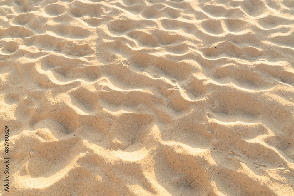 Fototapeta premium Sand texture background. Top view