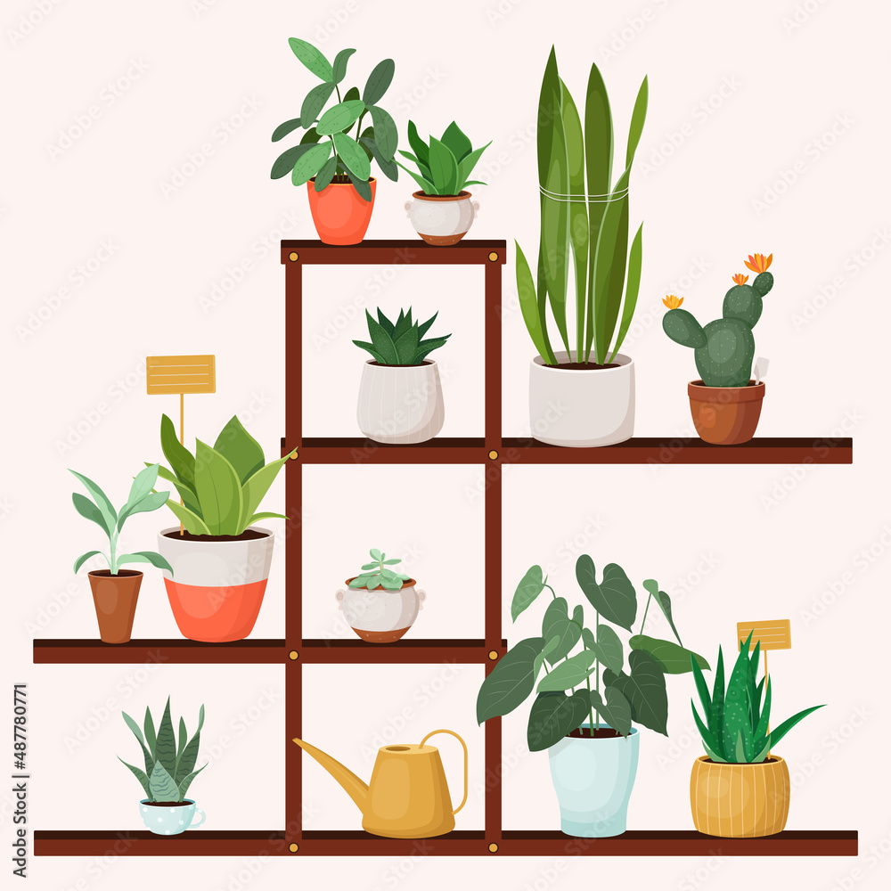 Wood plant stand with different indoor plants. Home decor. Vector illustration Wood plant stand with different indoor plants. Home decor. Vector illustration