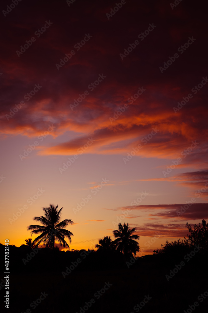 Idyllic sunset between palm trees. Holiday landscape.