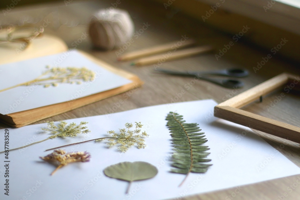 Old book, papers, various pressed flowers, eyeglasses, scissors, pencils and rope on wooden desk. Crafting and making herbarium at home. Selective focus.