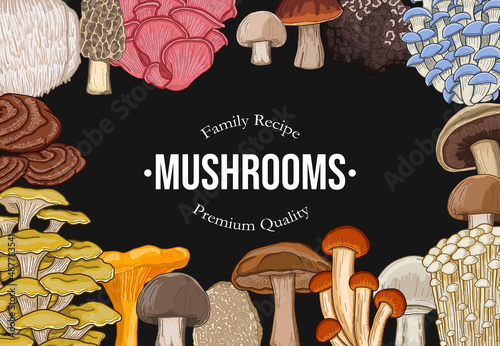 Mushroom Horizontal Banner Collection Colorful Hand Drawn Vector Illustration Set