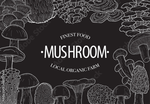 Mushroom Horizontal Banner Collection Vector Illustration Set on Blackboard