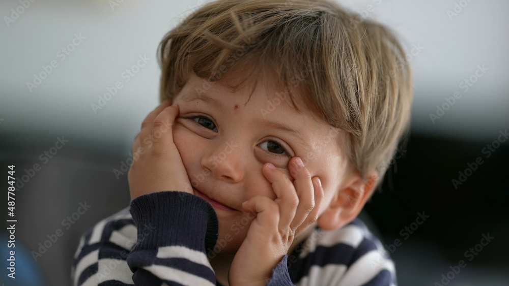 One thoughtful little boy posing for camera pensive toddler child One thoughtful little boy posing for camera pensive toddler child