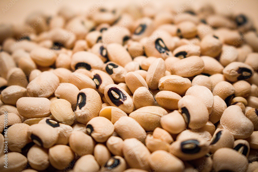 uncooked heap black eyed peas beans ingredient raw pile washed recipe food background cooking display closeup uncooked heap black eyed peas beans ingredient raw pile washed recipe food background cooking display closeup