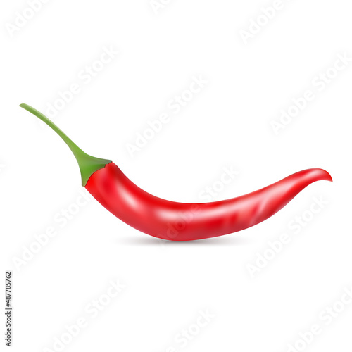 Realistic red hot chili pepper. Template for spice package design, cooking book decoration. Isolated on white background. Vector illustration.
