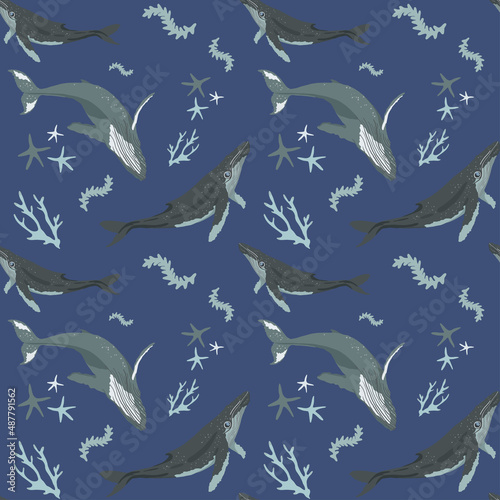Marine mammals and fishes seamless vector pattern. Marine animal collection, cartoon characters for textile, wrapping, decor