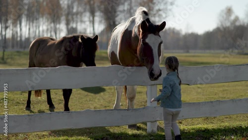 Little girl is feeding horses with carrot. Sunny, bright day. 4k  60p to 23.976 slow motion. medium shoot.