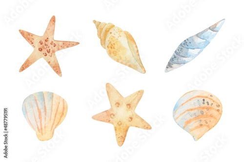 Watercolor sea set of starfish, seashells, conch. Underwater world hand drawing, summer clipart