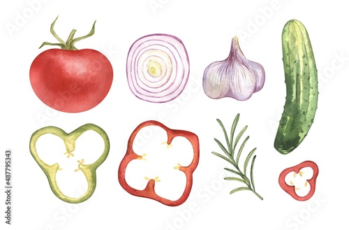 Fototapeta Naklejka Na Ścianę i Meble -  Watercolor hand drawn food vegetables, garlic, cucumber, tomato, onion. Isolated elements