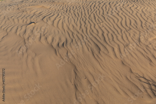 Die Riffel Struktur von Sand in der Wüste Gobi der Mongolei photo