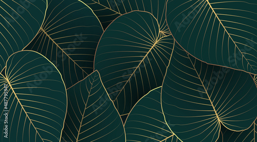 Luxury nature leaf background design with golden line arts on dark green background color. Tropical leaf wallpaper, Hand drawn outline design for fabric , print, cover, banner and invitation.