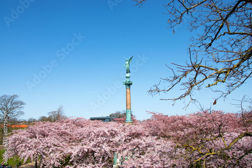 Copenhagen. Spring. Statue of ancient goddess Victoria with palm branch in hand at Langelinie Park in Copenhagen, Denmark. Cherry blossom in urban park. Sakura Festival.