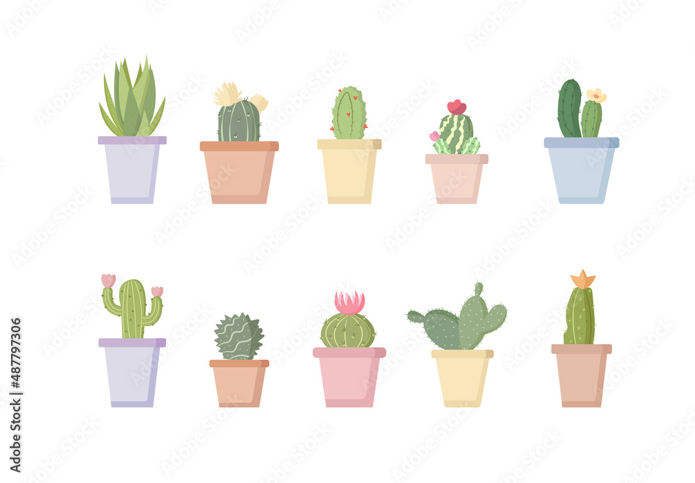 set of pictures of cacti