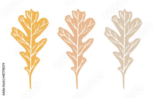 Oak leaf colored imprint with veins