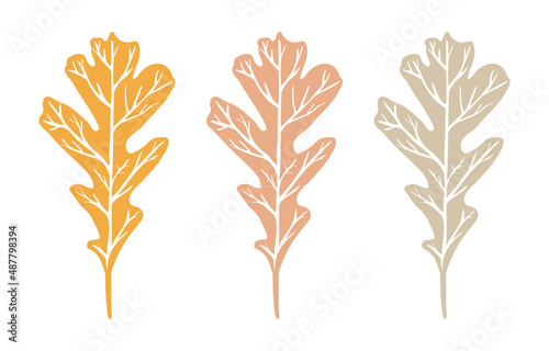 Oak leaf colored imprint with veins