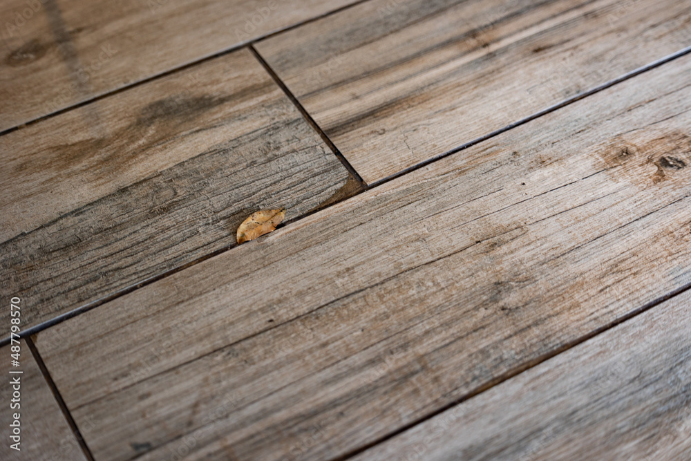 Obraz premium Small, fallen leave on gray and white wood planks that can be used as a background