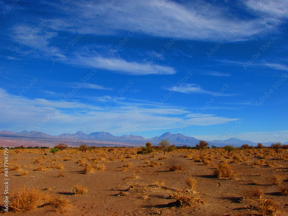 Desierto de Atacama, San Pedro de Atacama, región de Antofagasta, Chile. 