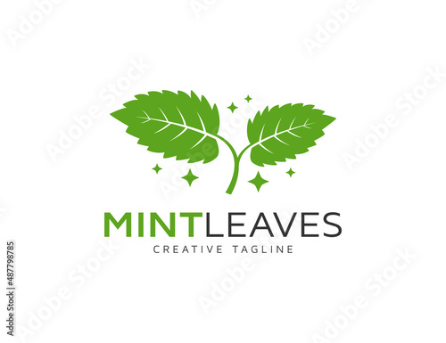 Green mint leaves logo design illustration