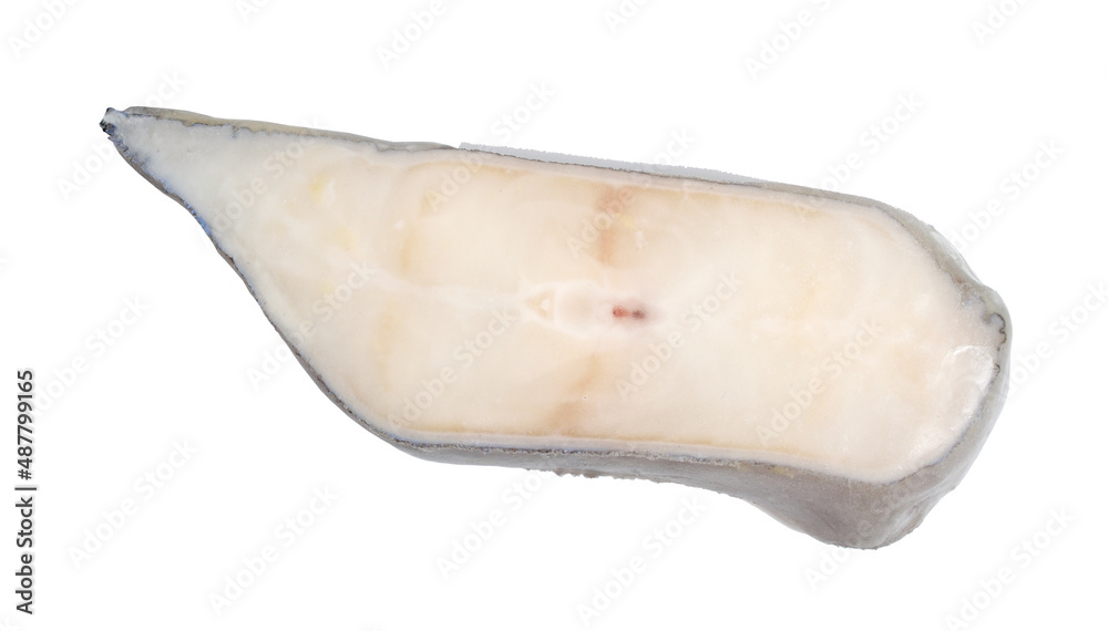 Frozen stake wolffish or wolfeel, also known as sea wolves. Isolated on white background