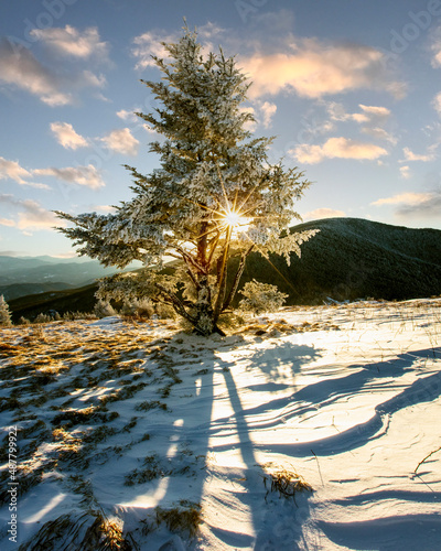 The sun shines over a cold, snowy landscape in the Blue Ridge Mountains on North Carolina.